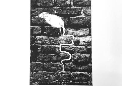 Mouse Trap, Photo etching, 28x36cm, €160