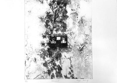 Remnant, Photo etching, 35 × 38.5cm, €120