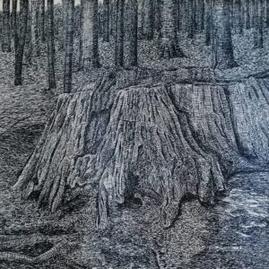 Eimhin Farrell, Black Island Stump, Etching, 28 x 36cm, €300