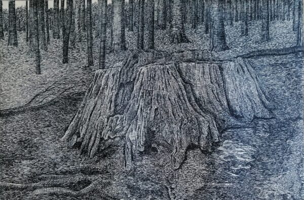 Eimhin Farrell, Black Island Stump, Etching, 28 x 36cm, €300