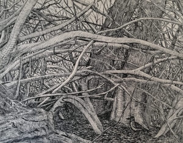 Eimhin Farrell, Tangled Branches with Hooded Crow, Etching, 38 x 33cm, €300