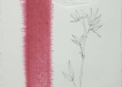 Jane Ellis, Bamboo, blind emboss, pencil and Indian ink, 30 x 15cm, €130
