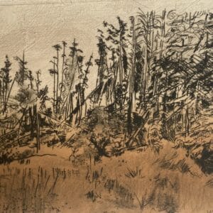 Margaret McLoughlin, Tree fall, Etching and drypoint, 40 x 35cm, €250