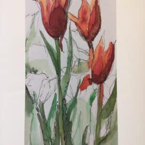 Linda uhlemann, tulips, Digital print, 50 x 35cm, €300